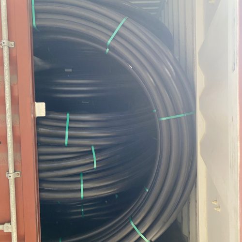 WhatsApp Image 2026-02-11 at 23.29.32 (2)