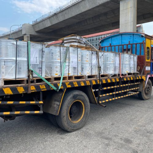 WhatsApp Image 2026-02-11 at 23.33.50